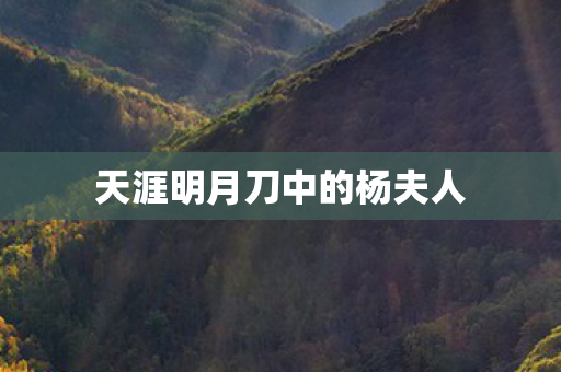 天涯明月刀中的杨夫人