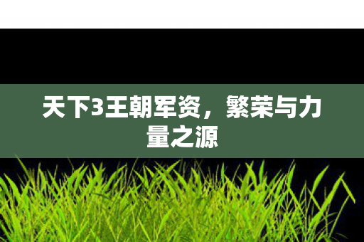 天下3王朝军资，繁荣与力量之源