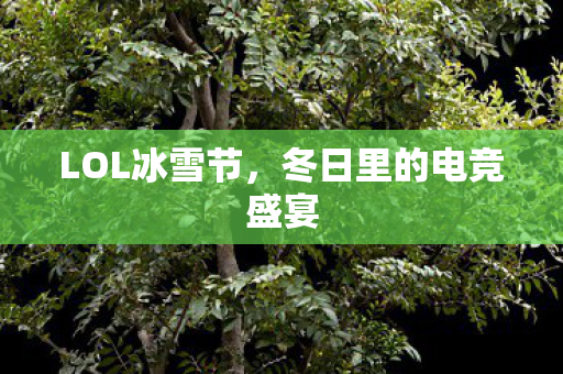 LOL冰雪节，冬日里的电竞盛宴