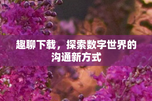 趣聊下载，探索数字世界的沟通新方式
