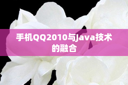 手机QQ2010与Java技术的融合