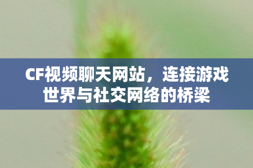 CF视频聊天网站，连接游戏世界与社交网络的桥梁