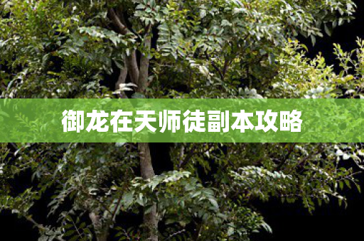 御龙在天师徒副本攻略