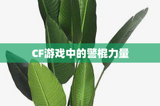 CF游戏中的警棍力量