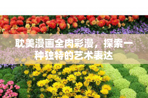 耽美漫画全肉彩漫，探索一种独特的艺术表达