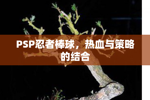 PSP忍者棒球，热血与策略的结合