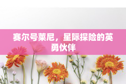 赛尔号莱尼，星际探险的英勇伙伴