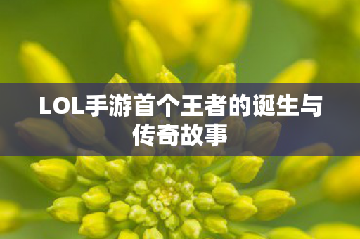 LOL手游首个王者的诞生与传奇故事