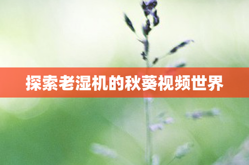 探索老湿机的秋葵视频世界