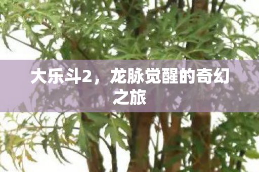 大乐斗2，龙脉觉醒的奇幻之旅