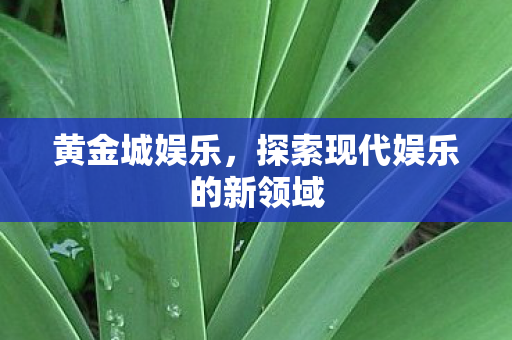 黄金城娱乐，探索现代娱乐的新领域