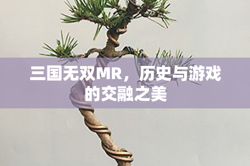 三国无双MR，历史与游戏的交融之美