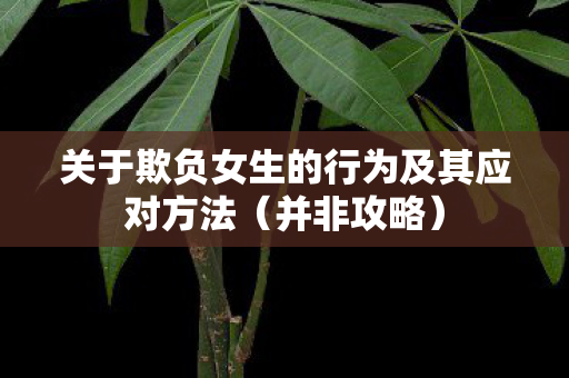 关于欺负女生的行为及其应对方法（并非攻略）