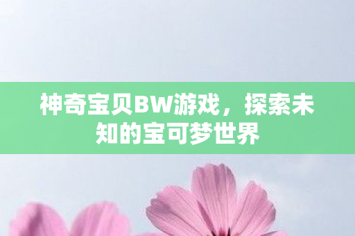 神奇宝贝BW游戏，探索未知的宝可梦世界
