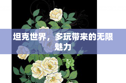 坦克世界，多玩带来的无限魅力