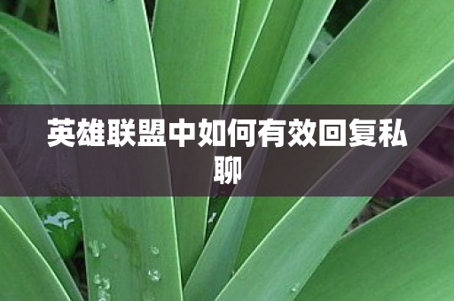 英雄联盟中如何有效回复私聊