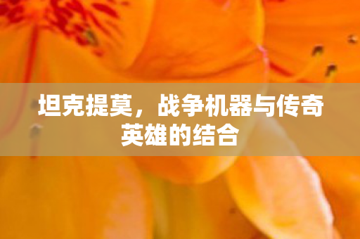 坦克提莫，战争机器与传奇英雄的结合