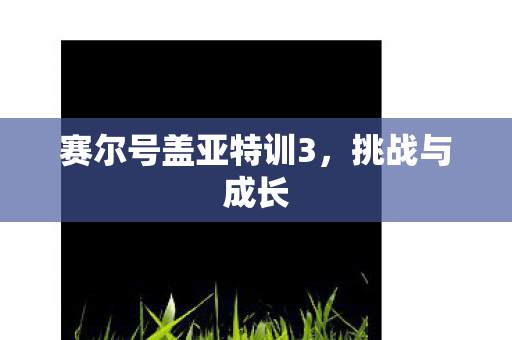 赛尔号盖亚特训3，挑战与成长