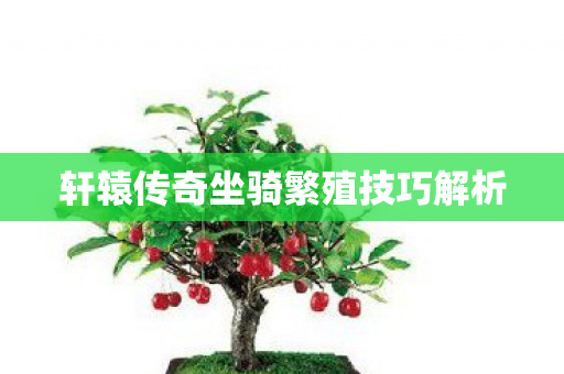 轩辕传奇坐骑繁殖技巧解析