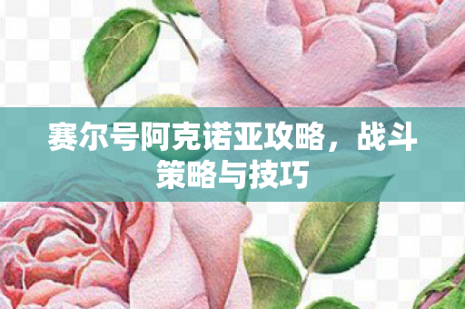 赛尔号阿克诺亚攻略，战斗策略与技巧