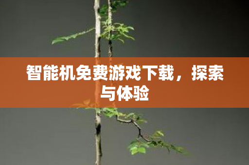 智能机免费游戏下载，探索与体验