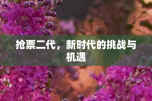 抢票二代，新时代的挑战与机遇