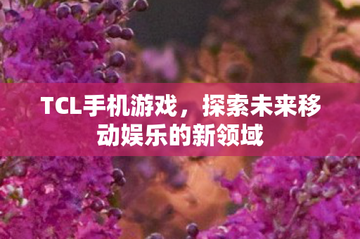 TCL手机游戏，探索未来移动娱乐的新领域