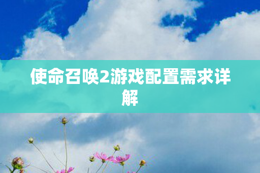 使命召唤2游戏配置需求详解