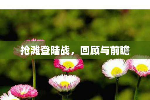 抢滩登陆战，回顾与前瞻