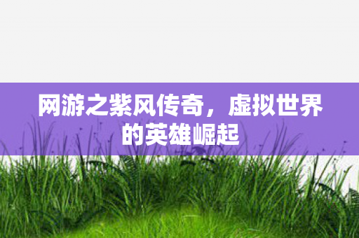 网游之紫风传奇，虚拟世界的英雄崛起