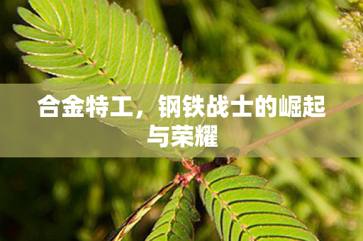 合金特工，钢铁战士的崛起与荣耀