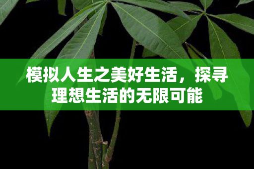模拟人生之美好生活，探寻理想生活的无限可能