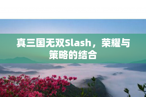 真三国无双Slash，荣耀与策略的结合