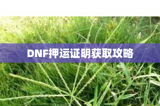 DNF押运证明获取攻略