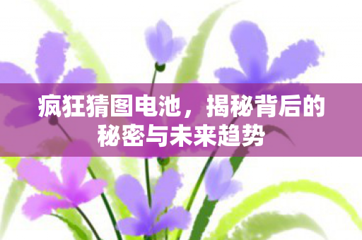 疯狂猜图电池，揭秘背后的秘密与未来趋势