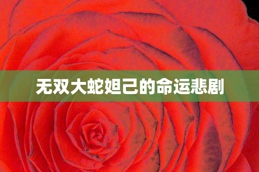 无双大蛇妲己的命运悲剧