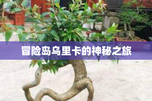 冒险岛乌里卡的神秘之旅