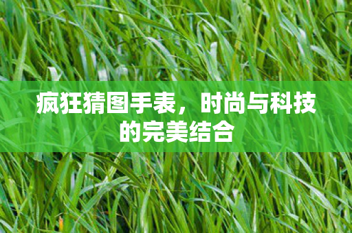 疯狂猜图手表，时尚与科技的完美结合