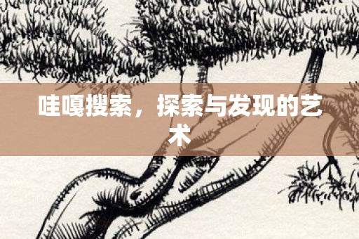 哇嘎搜索，探索与发现的艺术