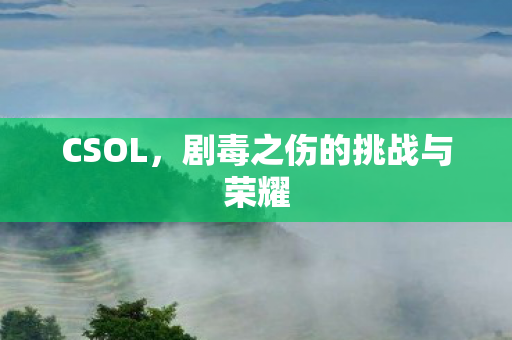 CSOL，剧毒之伤的挑战与荣耀