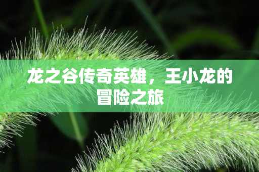 龙之谷传奇英雄，王小龙的冒险之旅