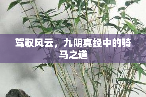 驾驭风云，九阴真经中的骑马之道