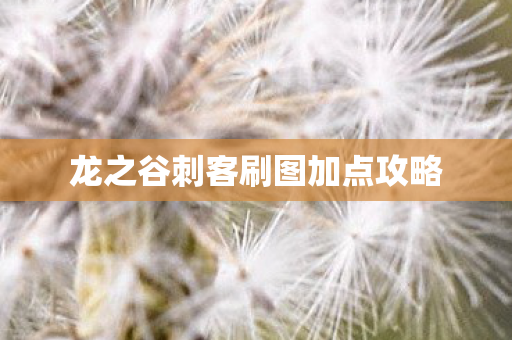 龙之谷刺客刷图加点攻略