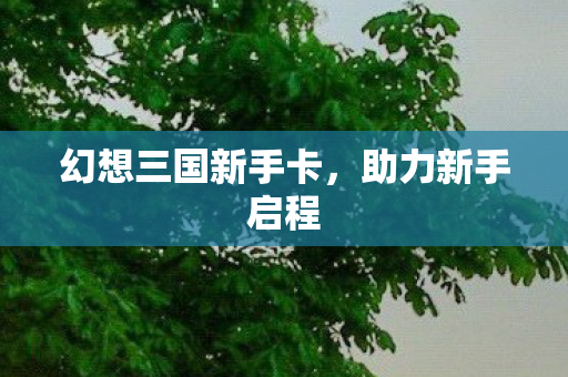 幻想三国新手卡，助力新手启程