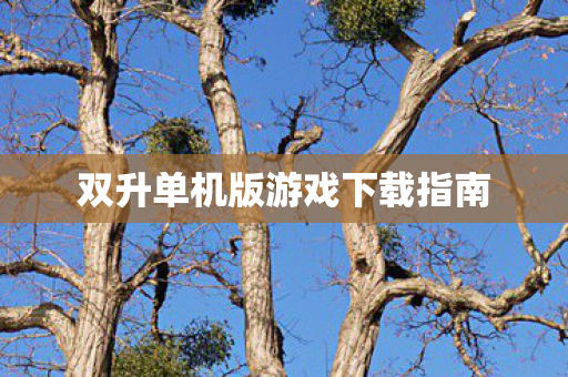 双升单机版游戏下载指南