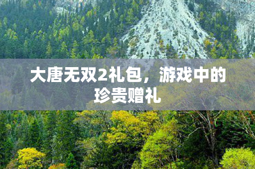 大唐无双2礼包，游戏中的珍贵赠礼