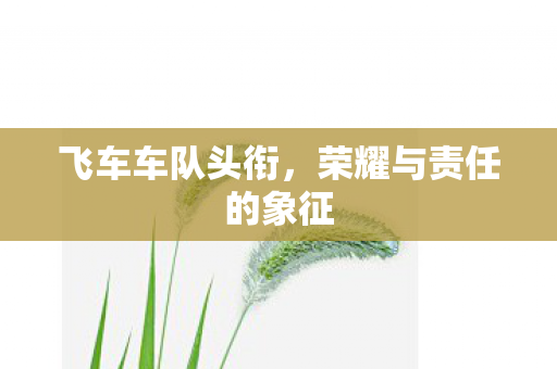 飞车车队头衔，荣耀与责任的象征