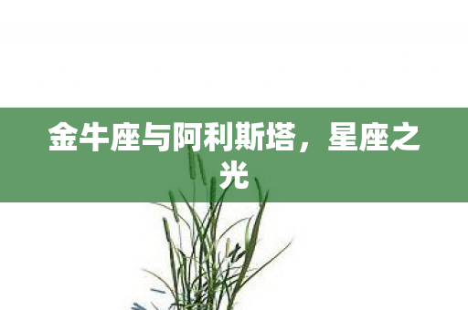 金牛座与阿利斯塔，星座之光