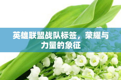 英雄联盟战队标签，荣耀与力量的象征