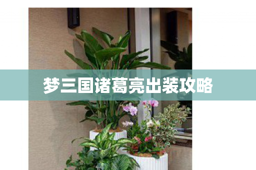 梦三国诸葛亮出装攻略